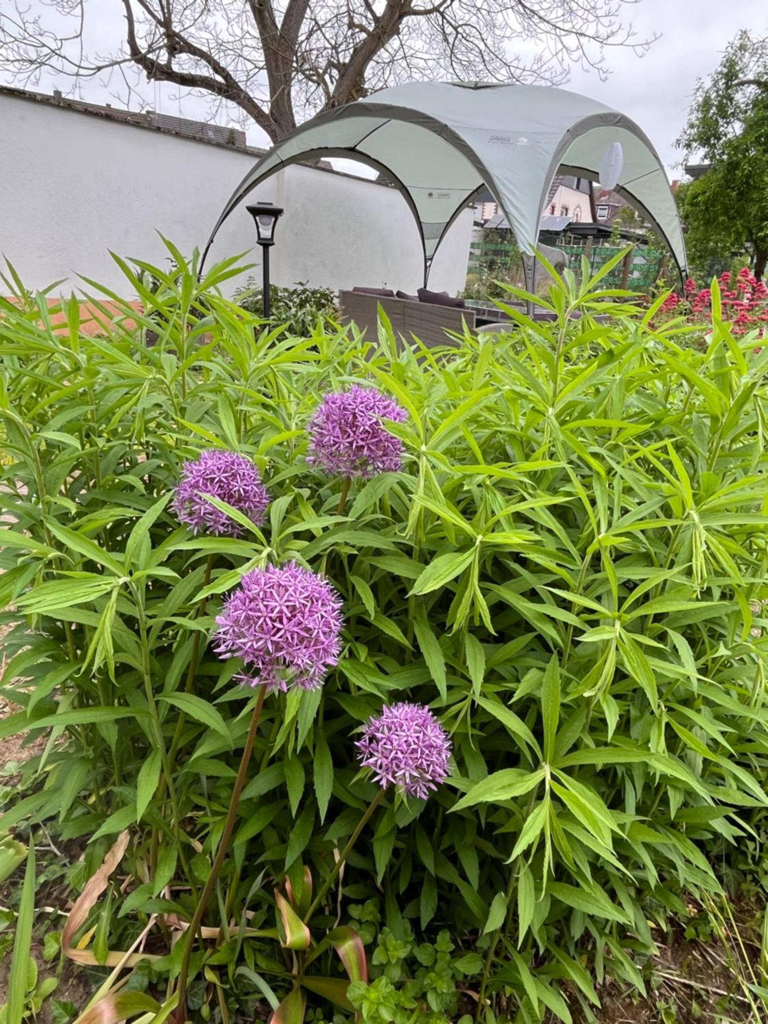 Apartment In Koblenz, Nahe Uni Und Bwzk Mit Garten Koblenz (Rhineland-Palatinate)